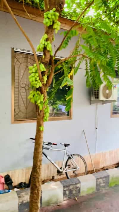 Nyumba ya vyumba vitatu inauzwa Bunju B, Dar Es Salaam (400 sqm)