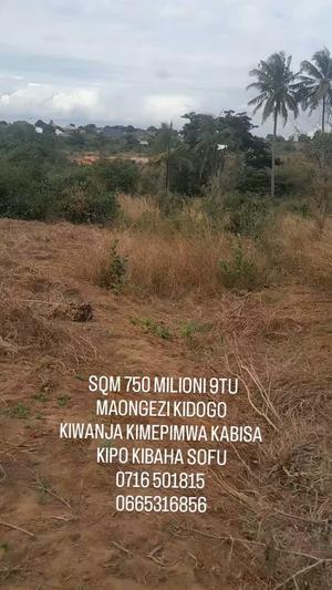 Kiwanja kinauzwa Kibaha Sofu, Pwani (750 sqm) Kiwanja kinauzwa Kibaha Sofu, Pwani (750 sqm)