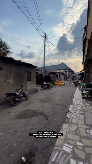 Kiwanja kinauzwa Manzese Midizini, Dar Es Salaam (350 sqm) Kiwanja kinauzwa Manzese Midizini, Dar Es Salaam (350 sqm)