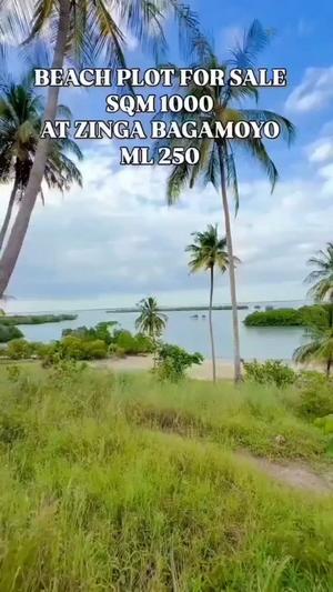 Beach Plot for Sale in Zinga Kwa Mtoro, Pwani (1000 sqm) Beach Plot for Sale in Zinga Kwa Mtoro, Pwani (1000 sqm)