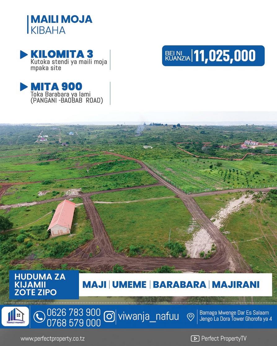  media -1