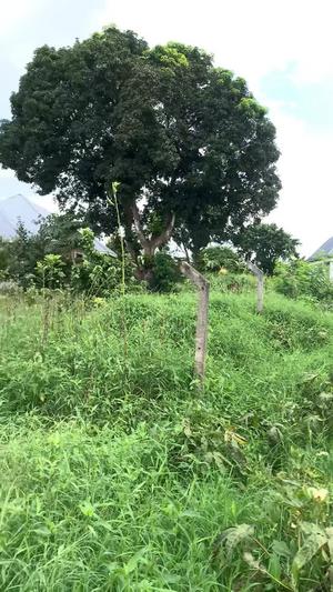 Kiwanja kinauzwa Bunju B, Dar Es Salaam sqm 432 Kiwanja kinauzwa Bunju B, Dar Es Salaam sqm 432