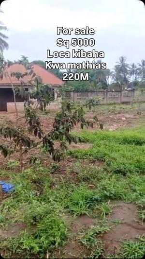 House for Sale in Kibaha Kwa Mathias, Pwani (5000 sqm)