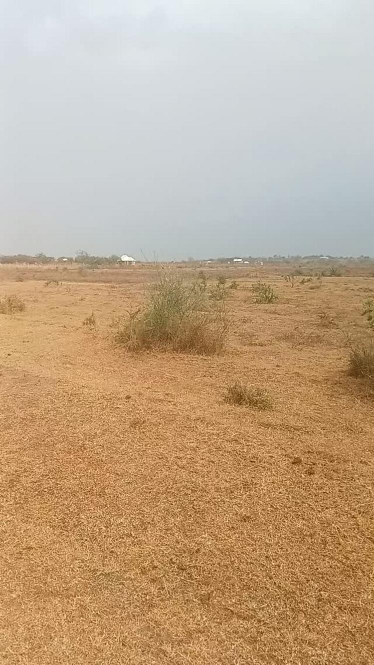 media -1 media -1
