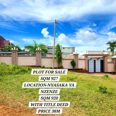 Kiwanja kinauzwa Nyasaka ya Nzenze, Mwanza (920 sqm)