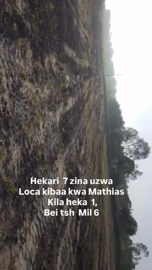 Farm for Sale in Kibaha Kwa Mathias, Pwani (7 acre)