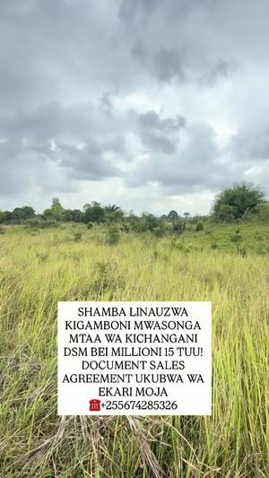 Plot for sale in Kigamboni Mwasonga, Dar Es Salaam acre 1