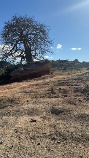 Kiwanja kinauzwa Iyumbu West, Dodoma sqm 1500 Kiwanja kinauzwa Iyumbu West, Dodoma sqm 1500