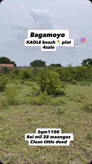 Kiwanja kinauzwa Bagamoyo Ukuni, Pwani (1100 sqm)