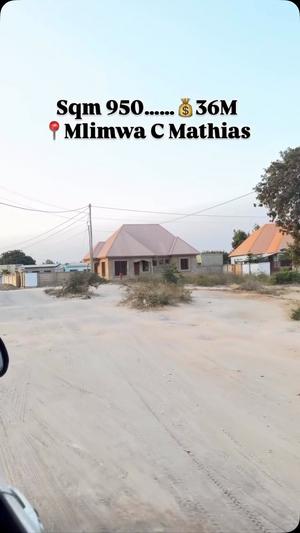 Kiwanja kinauzwa Mlimwa C Mathias, Dodoma (950 sqm) Kiwanja kinauzwa Mlimwa C Mathias, Dodoma (950 sqm)