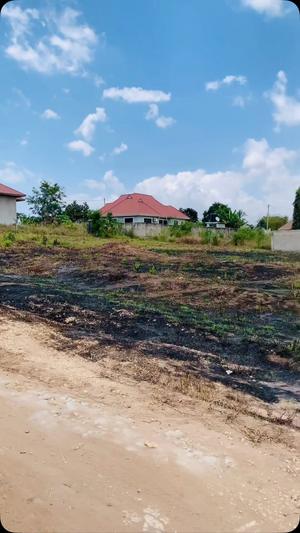 Kiwanja kinauzwa Bunju Njia ya Mabwepande, Dar Es Salaam (569 sqm) Kiwanja kinauzwa Bunju Njia ya Mabwepande, Dar Es Salaam (569 sqm)