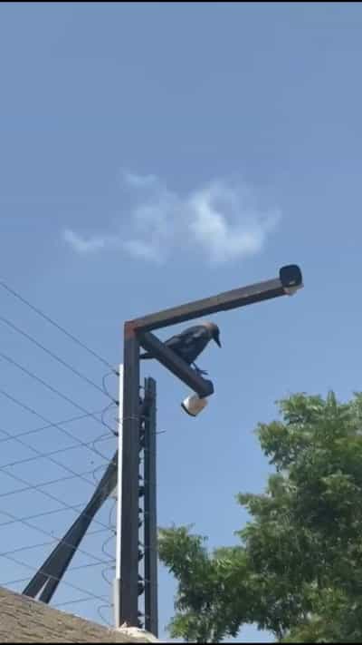 Nyumba ya vyumba vitatu inapangishwa BOKO CHAMA, Dar Es Salaam