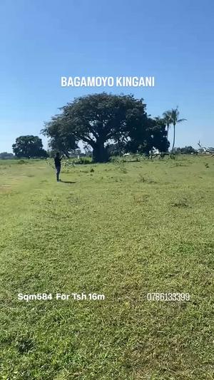 Residential Plot for Sale in Bagamoyo, Pwani (584 sqm) Residential Plot for Sale in Bagamoyo, Pwani (584 sqm)