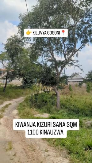 Residential Plot for Sale in Kiluvya Gogoni, Pwani (1100 sqm) Residential Plot for Sale in Kiluvya Gogoni, Pwani (1100 sqm)