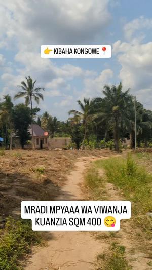 Viwanja vinauzwa Kibaha Kongowe, Pwani (400 sqm) Viwanja vinauzwa Kibaha Kongowe, Pwani (400 sqm)