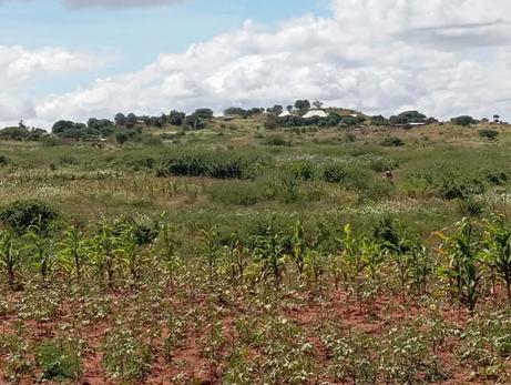 Kiwanja kinauzwa Mhande Ntyuka, Dodoma sqm 4200