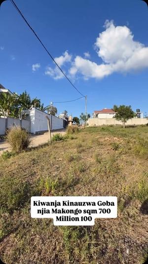 Kiwanja kinauzwa Makongo Road, Dar Es Salaam (700 sqm) Kiwanja kinauzwa Makongo Road, Dar Es Salaam (700 sqm)