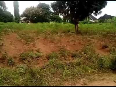 Kiwanja kinauzwa Kiseke, Mwanza (2400 sqm)