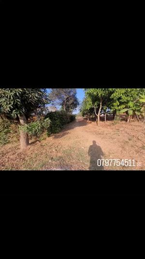 Nyumba ya vyumba vitano inauzwa Msamala, Ruvuma (1 acre)