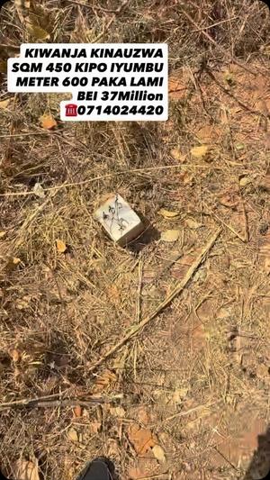 Kiwanja kinauzwa Iyumbu, Dodoma sqm 450