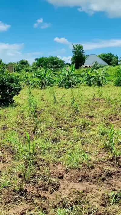 Kiwanja kinauzwa Kerege Chama, Pwani (1.5 acre) Kiwanja kinauzwa Kerege Chama, Pwani (1.5 acre)