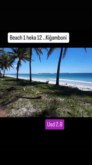 Beach Plot for Sale in Kigamboni Gezaulole, Dar Es Salaam (12 acre) Beach Plot for Sale in Kigamboni Gezaulole, Dar Es Salaam (12 acre)