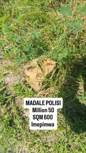 Kiwanja kinauzwa Madale Polisi, Dar Es Salaam (600 sqm)