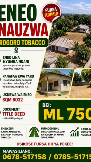Kiwanja (Commercial Plot) kinauzwa Morogoro Tobacco (6082 sqm)