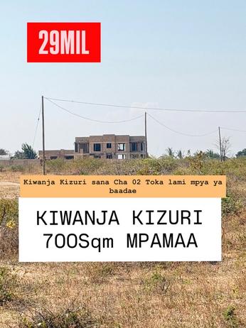 Kiwanja kinauzwa Mpamaa, Dar Es Salaam sqm 700
