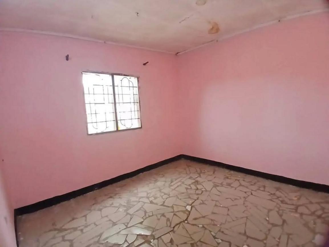 media -7