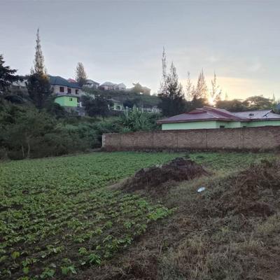 Kiwanja kinauzwa New-Forest, Mbeya (1806 sqm)