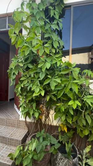 1 Bedroom Apartment for Rent in Mbezi Beach Makonde, Dar Es Salaam
