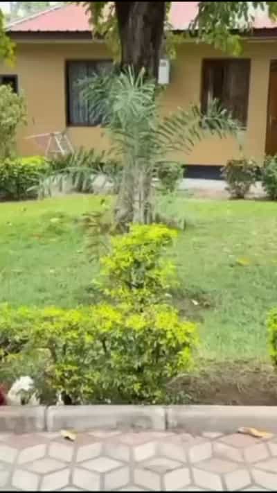 2 Bedrooms Furnished House for Rent in Oysterbay, Dar Es Salaam 2 Bedrooms Furnished House for Rent in Oysterbay, Dar Es Salaam
