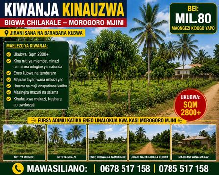 Plot for sale in Bigwa Chilakale, Morogoro sqm 2800 Plot for sale in Bigwa Chilakale, Morogoro sqm 2800