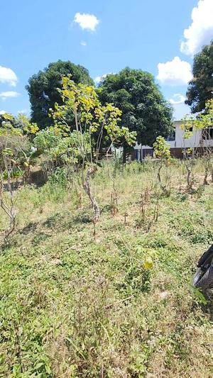 Kiwanja kinauzwa Kinyerezi Kibaga B, Dar Es Salaam sqm 500 Kiwanja kinauzwa Kinyerezi Kibaga B, Dar Es Salaam sqm 500