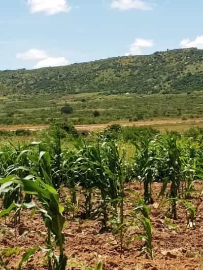 Kiwanja kinauzwa Matumbulu Ringroad, Dodoma (500 sqm) Kiwanja kinauzwa Matumbulu Ringroad, Dodoma (500 sqm)