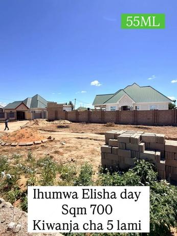 Plot for sale in Ihumwa Elshadai, Dodoma sqm 700