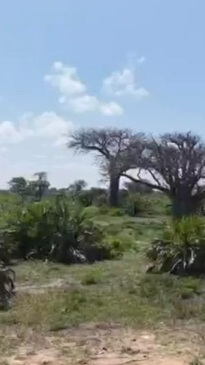 Kiwanja kinauzwa Mbutu Kichangani, Dege, Kigamboni, Dar Es Salaam acre 15