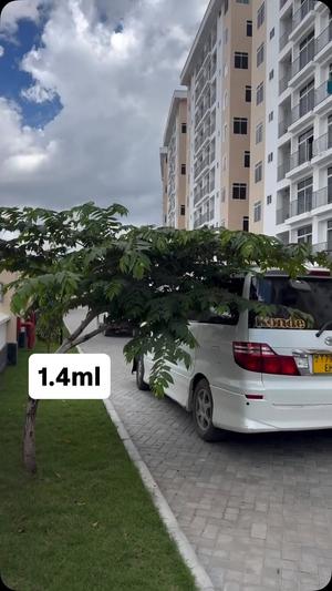 2 Bedrooms Apartment for Rent in Kawe Beach, Dar Es Salaam 2 Bedrooms Apartment for Rent in Kawe Beach, Dar Es Salaam