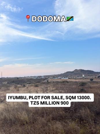 Plot for sale in Iyumbu, Dodoma sqm 13000 Plot for sale in Iyumbu, Dodoma sqm 13000