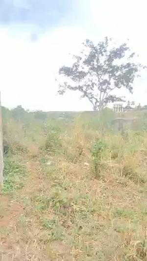 3 Bedrooms House for Sale in Pangani-Kibaha, Pwani (500 sqm) 3 Bedrooms House for Sale in Pangani-Kibaha, Pwani (500 sqm)