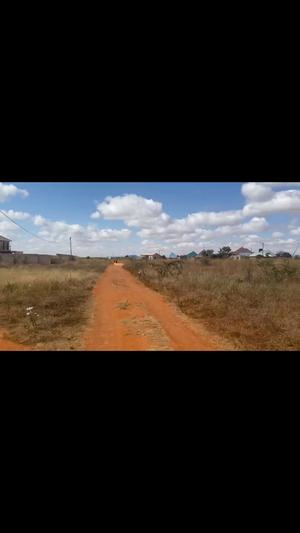 Residential Plot for Sale in Mtumba, Dodoma (1250 sqm)