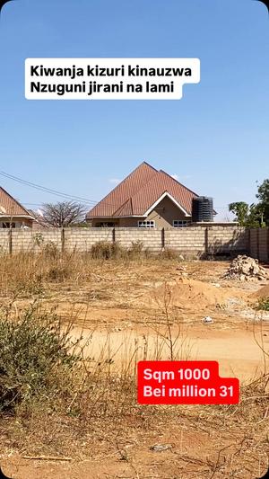 Kiwanja (Residential/Commercial) kinauzwa Dodoma (1000 sqm) Kiwanja (Residential/Commercial) kinauzwa Dodoma (1000 sqm)