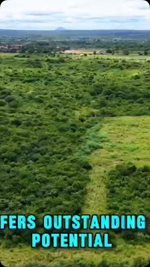 Commercial Plot for Sale in Chalinze Msolwa, Pwani (140 acre) Commercial Plot for Sale in Chalinze Msolwa, Pwani (140 acre)
