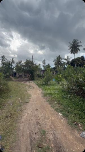 Residential Plot for Sale in Kinduni, Zanzibar (2975 sqm) Residential Plot for Sale in Kinduni, Zanzibar (2975 sqm)