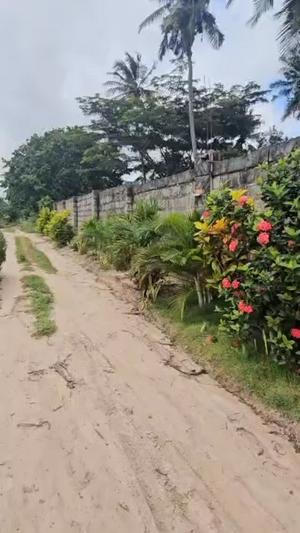 Farm for sale in Mwembe Mtengu Mkokozi, Kilimanjaro acre 4 Farm for sale in Mwembe Mtengu Mkokozi, Kilimanjaro acre 4