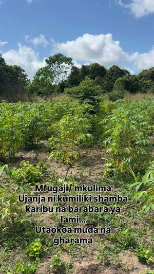 Farm for Sale in Bigwa, Morogoro (1 acre)