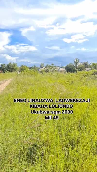 Kiwanja kinauzwa Kibaha Loliondo, Pwani sqm 2000 Kiwanja kinauzwa Kibaha Loliondo, Pwani sqm 2000