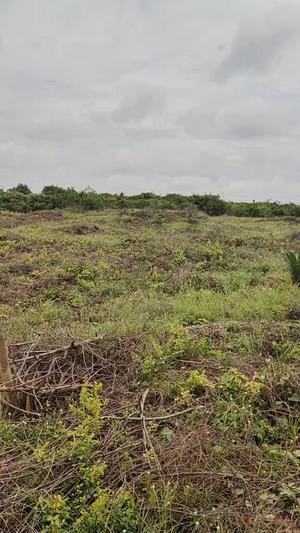 Kiwanja kinauzwa Mtule, Zanzibar - Unguja South (4000 sqm)