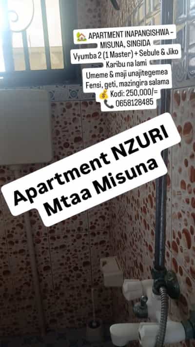 2 Bedrooms House/Apartment for Rent in Misuna, Singida